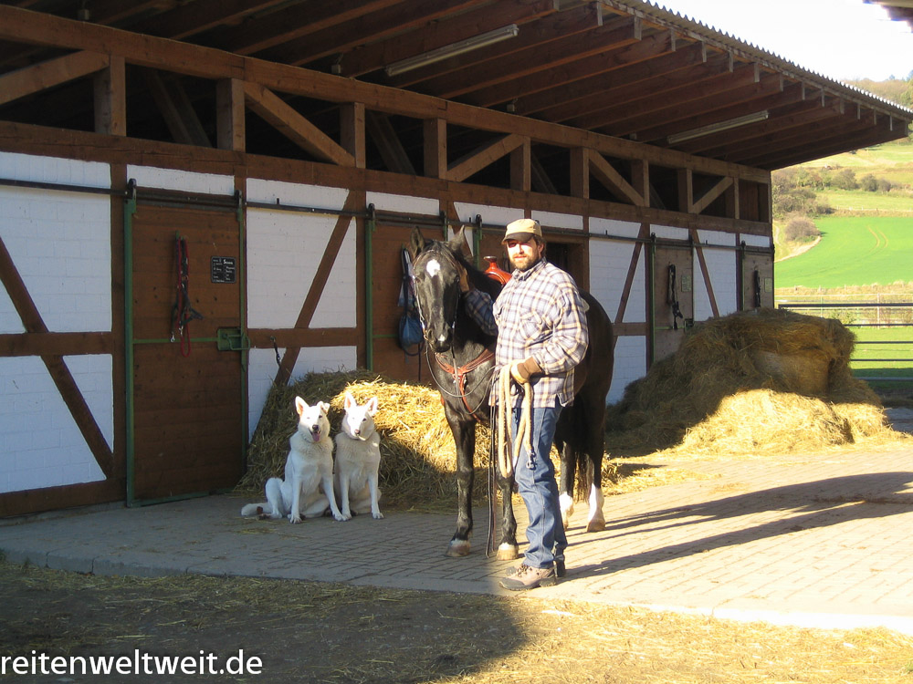 Dogs and Horses – Part 1: How dogs get used to the horse stable