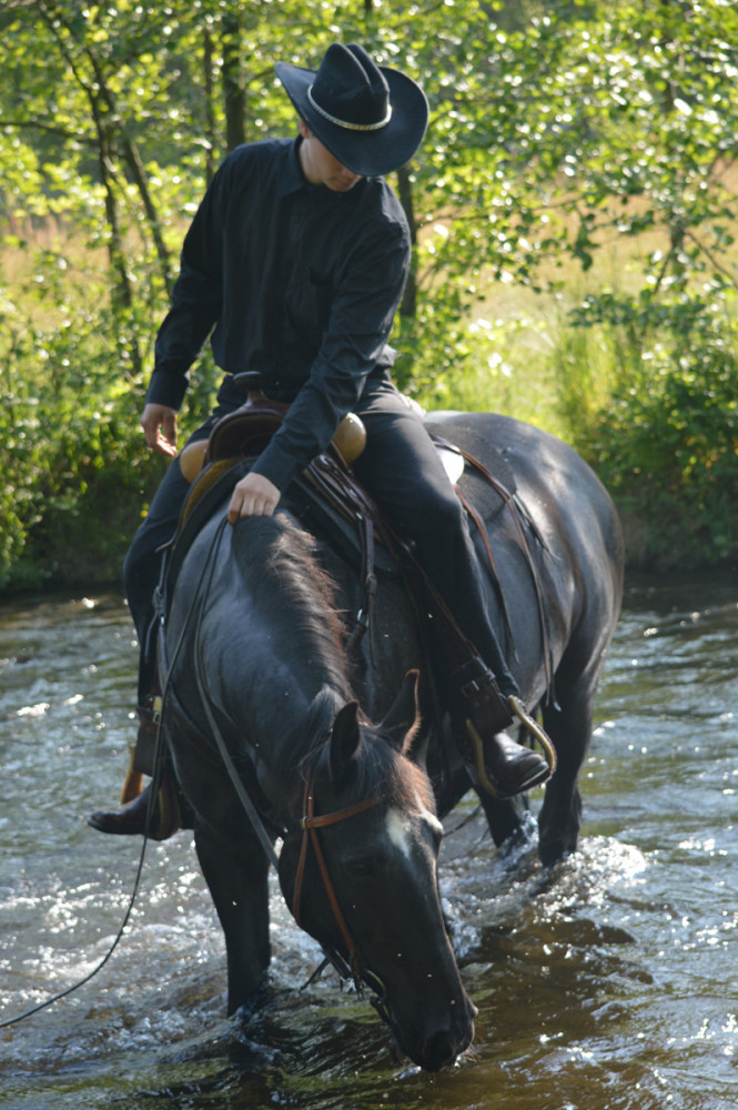 Did you know, that horses drink between 30 and 70 litre …