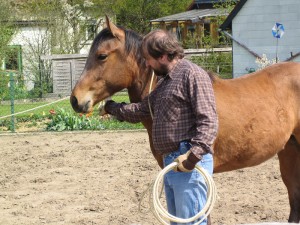 Intensive training helps to improve the relationship between horse and rider. Trust is one of the most important aspects for a harmonious and successful training.