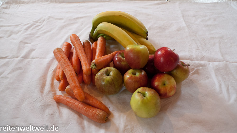 Apples, carrots, sugar beets – useful tips for the right feeding