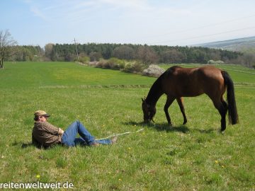 Riders needs a minimum of leading competence