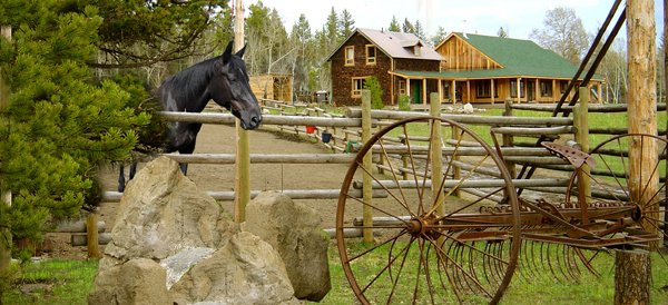 SOLD! For sale: Graham Dunden Ranch in British Columbia, Canada!