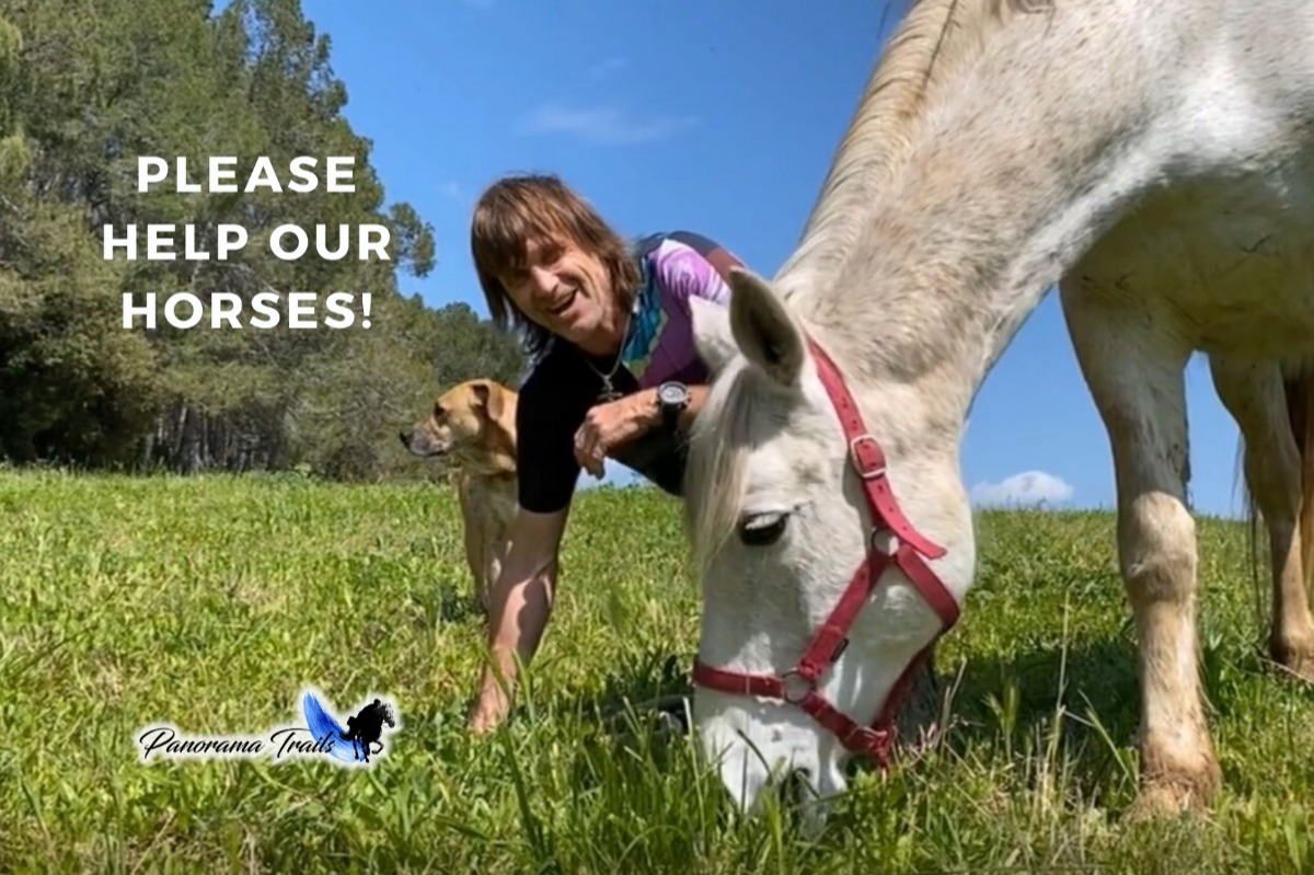 Corona Crisis: Please, help our 60 horses! Panorama Trails in Spain!