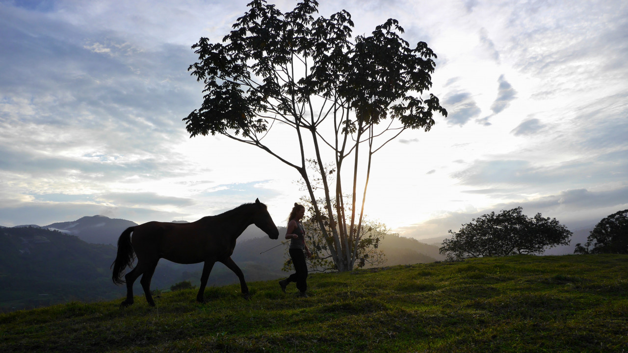 Natural Horsemanship & Yoga Retreat in Costa Rica: 01.04.-07.04.2023; 02.07.-08.07.2023